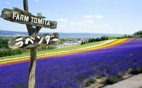 富田農(nóng)場(chǎng)1