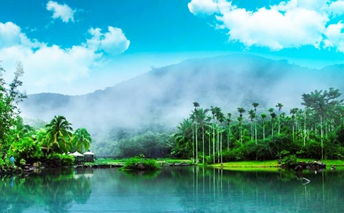 呀諾達熱帶雨林2