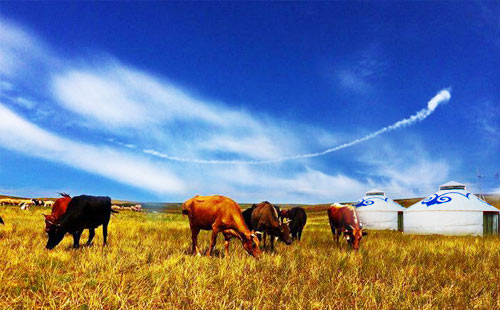 內(nèi)蒙古旅游