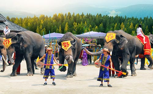 西雙版納野象谷2 西雙版納野象谷2