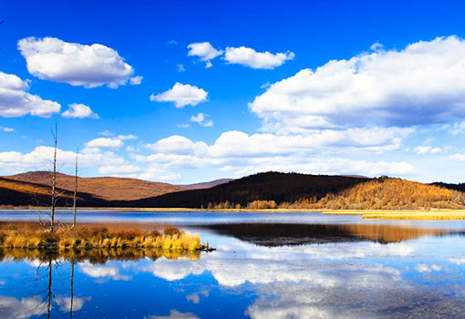 阿爾山國(guó)家森林公園