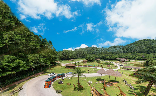 廣東長隆野生動(dòng)物園