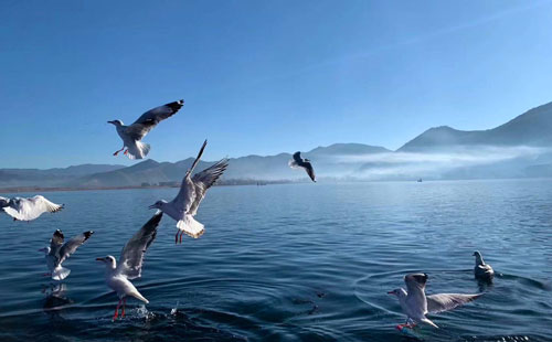 瀘沽湖1 瀘沽湖1