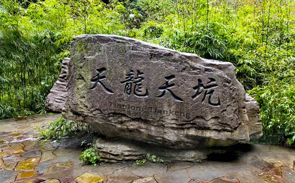 天生三橋-天龍?zhí)炜? title=